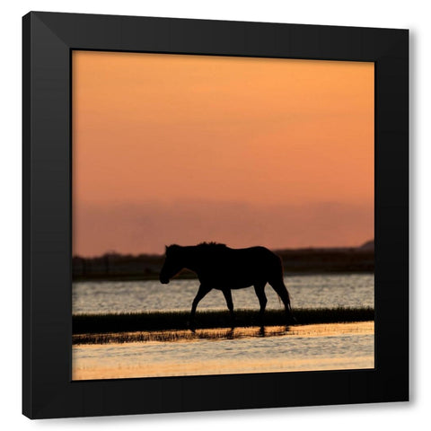 Sunset Stroll Black Modern Wood Framed Art Print by Walker, Carol