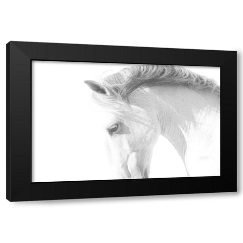 White Horse Black Modern Wood Framed Art Print by Walker, Carol