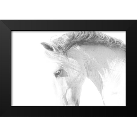 White Horse Black Modern Wood Framed Art Print by Walker, Carol