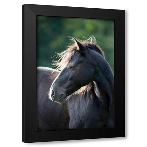 Mystic One Black Modern Wood Framed Art Print by Walker, Carol