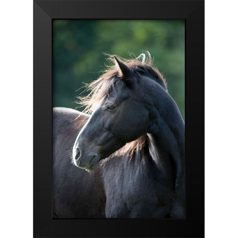 Mystic One Black Modern Wood Framed Art Print by Walker, Carol