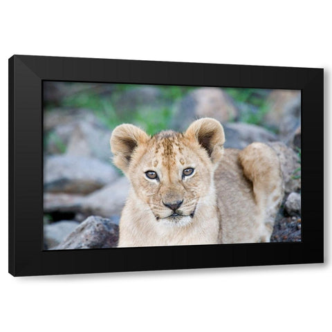 Up Close With Nature Black Modern Wood Framed Art Print by Walker, Carol
