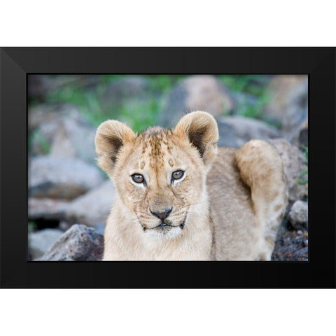 Up Close With Nature Black Modern Wood Framed Art Print by Walker, Carol