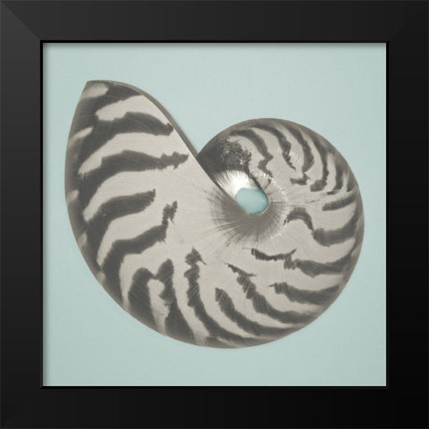 Noir Shell on Teal I Black Modern Wood Framed Art Print by Rodriguez, Jairo