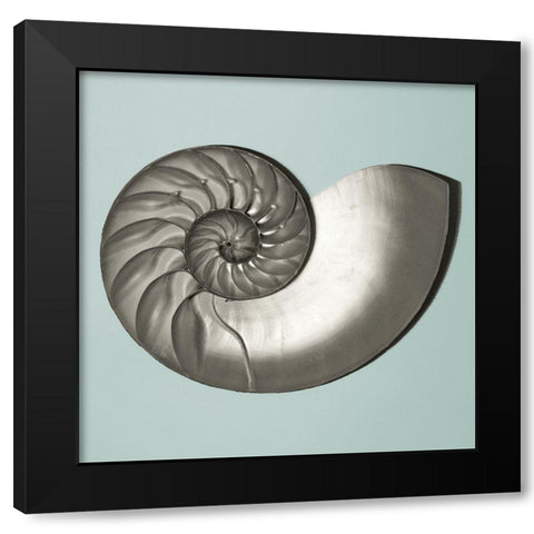 Noir Shell on Teal II Black Modern Wood Framed Art Print by Rodriguez, Jairo