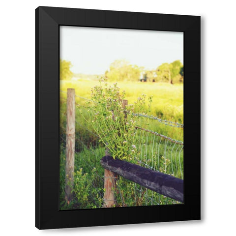 Flowers On The Fence II Black Modern Wood Framed Art Print by Peck, Gail