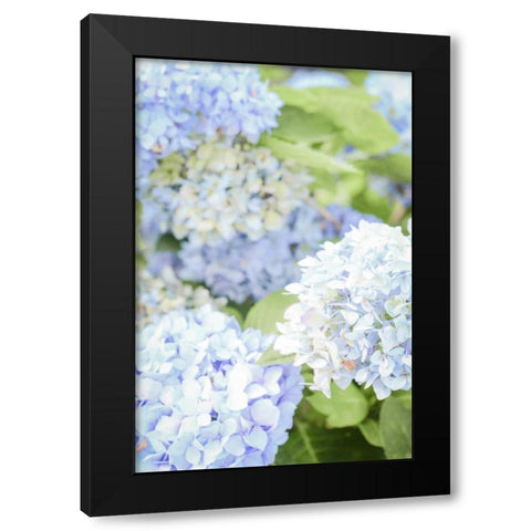 Blooms Black Modern Wood Framed Art Print with Double Matting by Peck, Gail