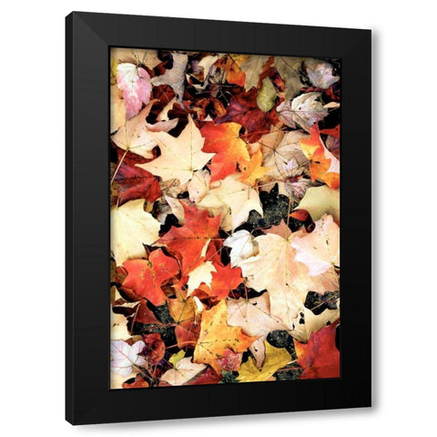 Autumn Falls Black Modern Wood Framed Art Print with Double Matting by Peck, Gail