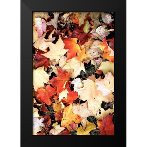 Autumn Falls Black Modern Wood Framed Art Print by Peck, Gail