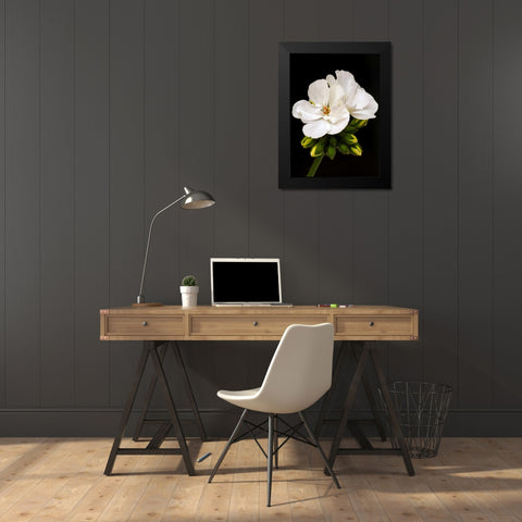 White Blooms Black Modern Wood Framed Art Print by Peck, Gail