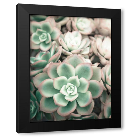 Teal Blooms Black Modern Wood Framed Art Print by Peck, Gail