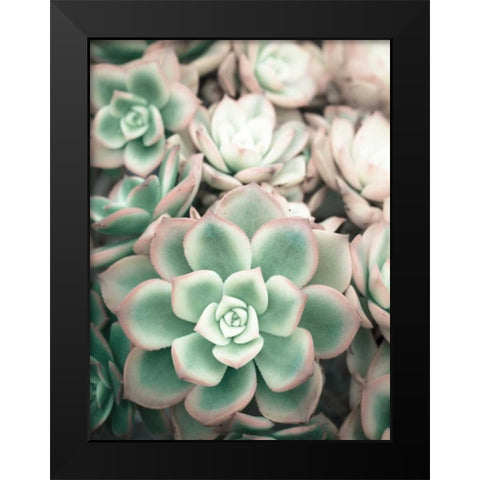 Teal Blooms Black Modern Wood Framed Art Print by Peck, Gail