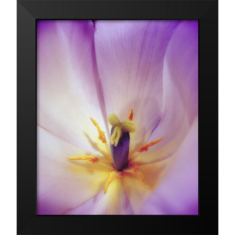 Radiant Black Modern Wood Framed Art Print by Peck, Gail