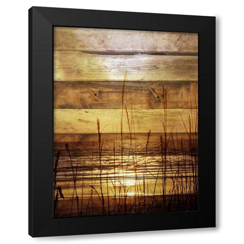 By The Grass Sunset Wood Black Modern Wood Framed Art Print with Double Matting by Peck, Gail