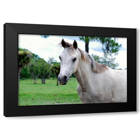 Dockside Black Modern Wood Framed Art Print by Peck, Gail