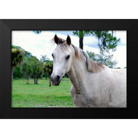 Dockside Black Modern Wood Framed Art Print by Peck, Gail