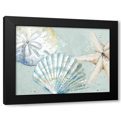 Beach Shells Black Modern Wood Framed Art Print with Double Matting by Pinto, Patricia