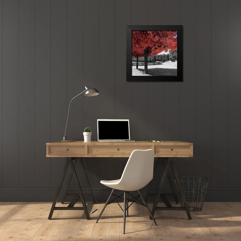 Garden Walk Black Modern Wood Framed Art Print by Navas, Emily