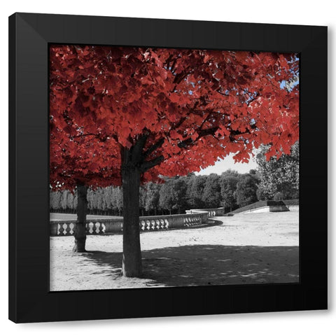 Garden Walk Black Modern Wood Framed Art Print by Navas, Emily