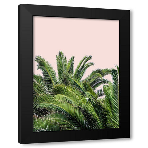 Tropical Leaves on Blush II Black Modern Wood Framed Art Print with Double Matting by Acosta