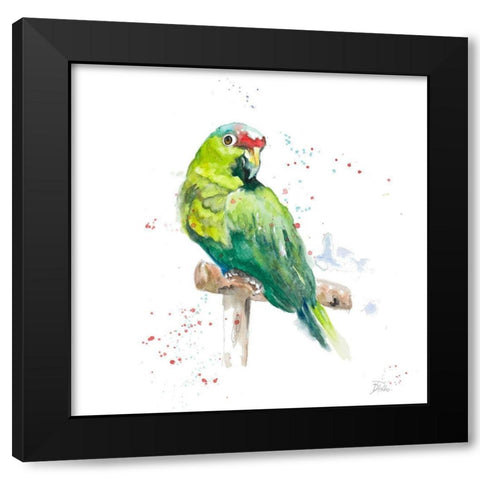 Amazon Parrot II Black Modern Wood Framed Art Print by Pinto, Patricia