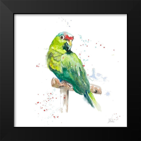 Amazon Parrot II Black Modern Wood Framed Art Print by Pinto, Patricia