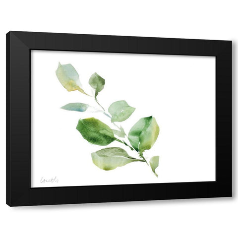 Clematis Leaf Branch Black Modern Wood Framed Art Print by Loreth, Lanie