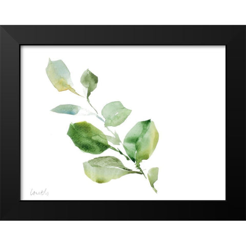 Clematis Leaf Branch Black Modern Wood Framed Art Print by Loreth, Lanie