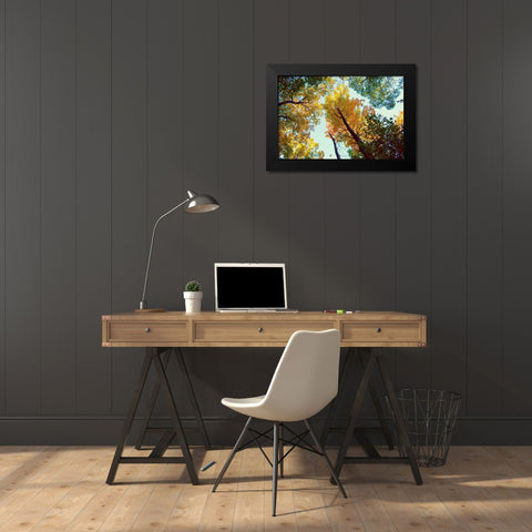 Looking Up Black Modern Wood Framed Art Print by Wilson, Kali