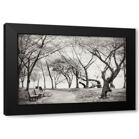 Path Walk Black Modern Wood Framed Art Print by Wilson, Kali
