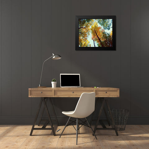 Looking Up Black Modern Wood Framed Art Print by Wilson, Kali