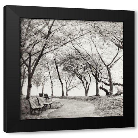 Virginia Park Walk Black Modern Wood Framed Art Print with Double Matting by Wilson, Kali
