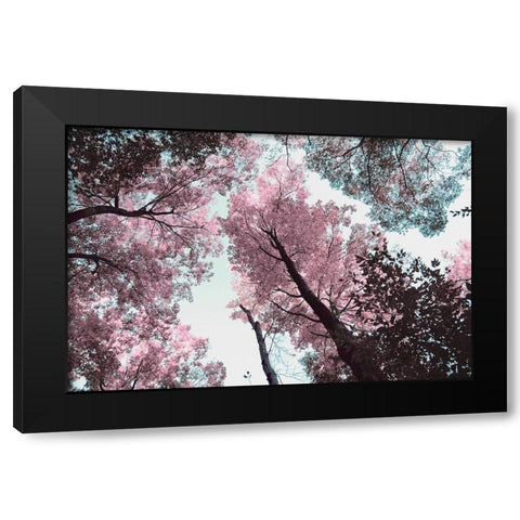 Blooming Cherry Blossom Black Modern Wood Framed Art Print by Wilson, Kali