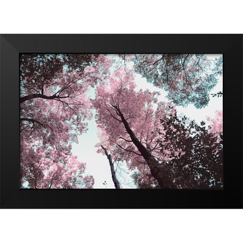Blooming Cherry Blossom Black Modern Wood Framed Art Print by Wilson, Kali
