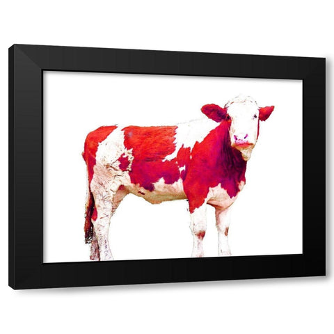 Bright Red Swiss Cow Black Modern Wood Framed Art Print with Double Matting by Hyler, JB