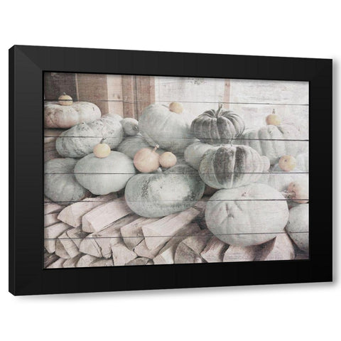Pumpkins in Fall Black Modern Wood Framed Art Print with Double Matting by Hyler, JB