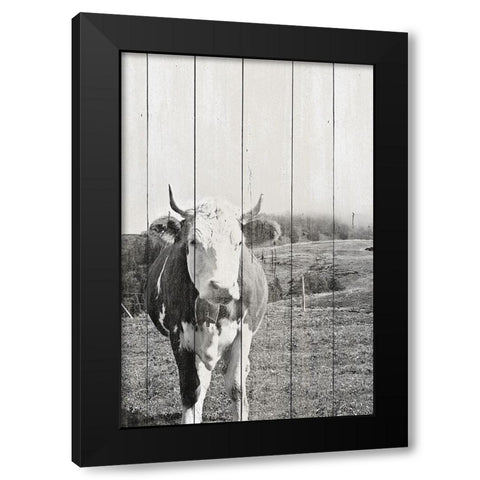 BW Country Cows on Wood Black Modern Wood Framed Art Print with Double Matting by Hyler, JB