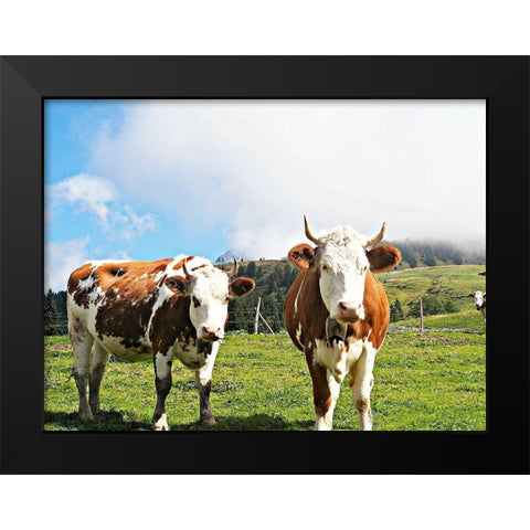 Country Cows Black Modern Wood Framed Art Print by Hyler, JB