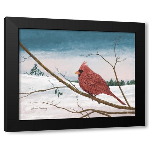 Auburn Cardinal Black Modern Wood Framed Art Print by Redding, James