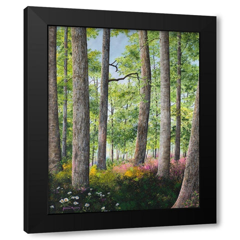 Enchanted Forest Black Modern Wood Framed Art Print by Redding, James