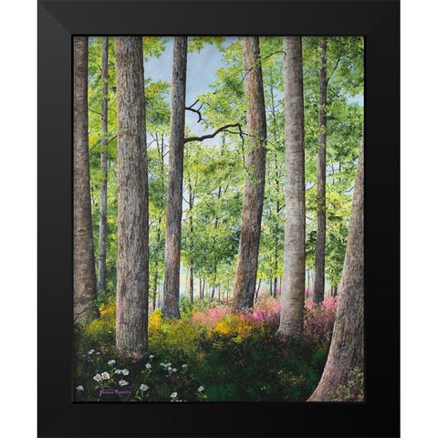 Enchanted Forest Black Modern Wood Framed Art Print by Redding, James