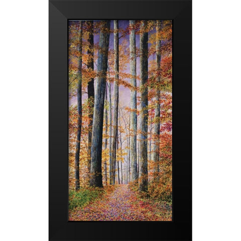 Watercolor Sky Black Modern Wood Framed Art Print by Redding, James