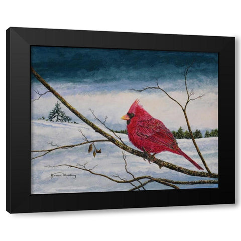 Cardinal In A Pastel Sky Black Modern Wood Framed Art Print by Redding, James
