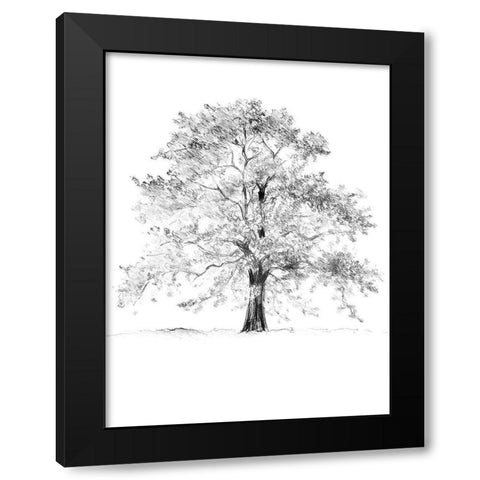 Tree II Black Modern Wood Framed Art Print with Double Matting by Loreth, Lanie