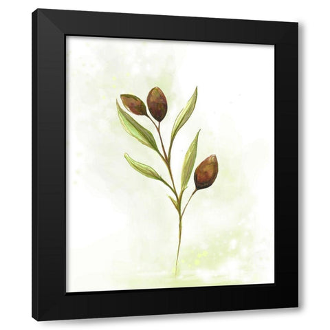 Fresh Herbs VI Black Modern Wood Framed Art Print with Double Matting by Diannart