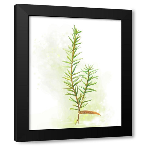 Fresh Herbs II Black Modern Wood Framed Art Print with Double Matting by Diannart