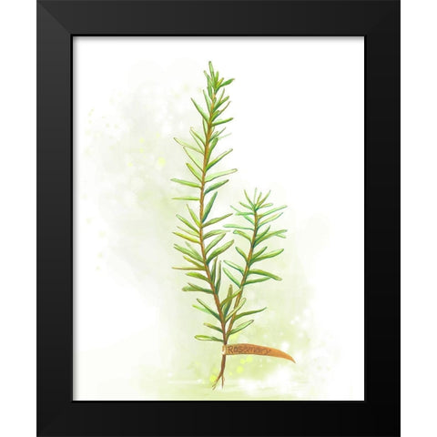 Fresh Herbs II Black Modern Wood Framed Art Print by Diannart
