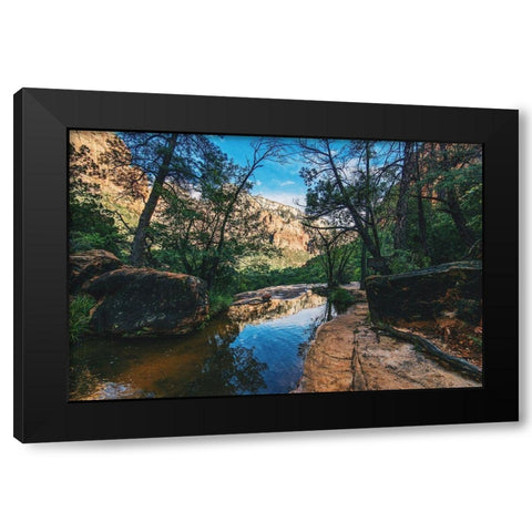 Summers Stream I Black Modern Wood Framed Art Print with Double Matting by Stewart, Wil