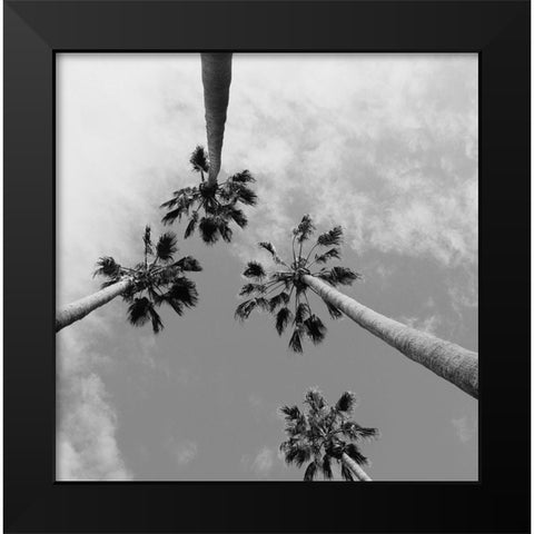 Tropical Gaze Black Modern Wood Framed Art Print by Stewart, Wil