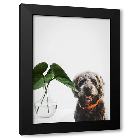 Dog Posing Black Modern Wood Framed Art Print with Double Matting by SD Graphics Studio